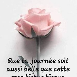 Meet your Posher, Jacqueline